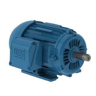 1 HP - 1800 RPM - 145T Frame - Three Phase - 230/460 Volts - Cast Iron - TEFC - Foot Mount - General Purpose Motor