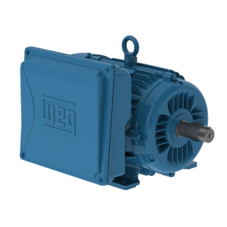 5 HP - 3600 RPM - 184T Frame - Single Phase - 115/208-230 Volts - Cast Iron - TEFC - Foot Mount - General Purpose Motor