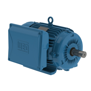 10 HP - 1800 RPM - 215T Frame - Single Phase - 208-230 Volts - Cast Iron - TEFC - Foot Mount - General Purpose Motor