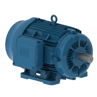 15 HP - 1800 RPM - 256T Frame - Three Phase - 230/460 Volts - Cast Iron - TEFC - Foot Mount - General Purpose Motor