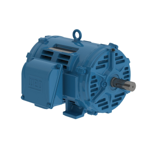 30 HP - 1800 RPM - 286T Frame - Three Phase - 200 Volts - Cast Iron - TEFC - C-Face - Foot Mount - General Purpose Motor