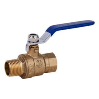 1" MPT x FPT Brass Ball Valve 600 PSI CWP 150 WSP