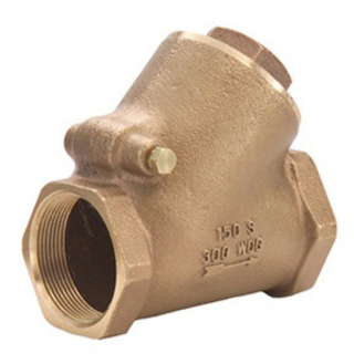 SCY-100 1" Y-Pattern Swing Check Valve