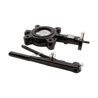 Butterfly Valve, 115mm, Lugged, Kit w/ (2) Flanges, (2) THRD ADPT, (2) Bolts and (2) Couplings, Standard (176F)